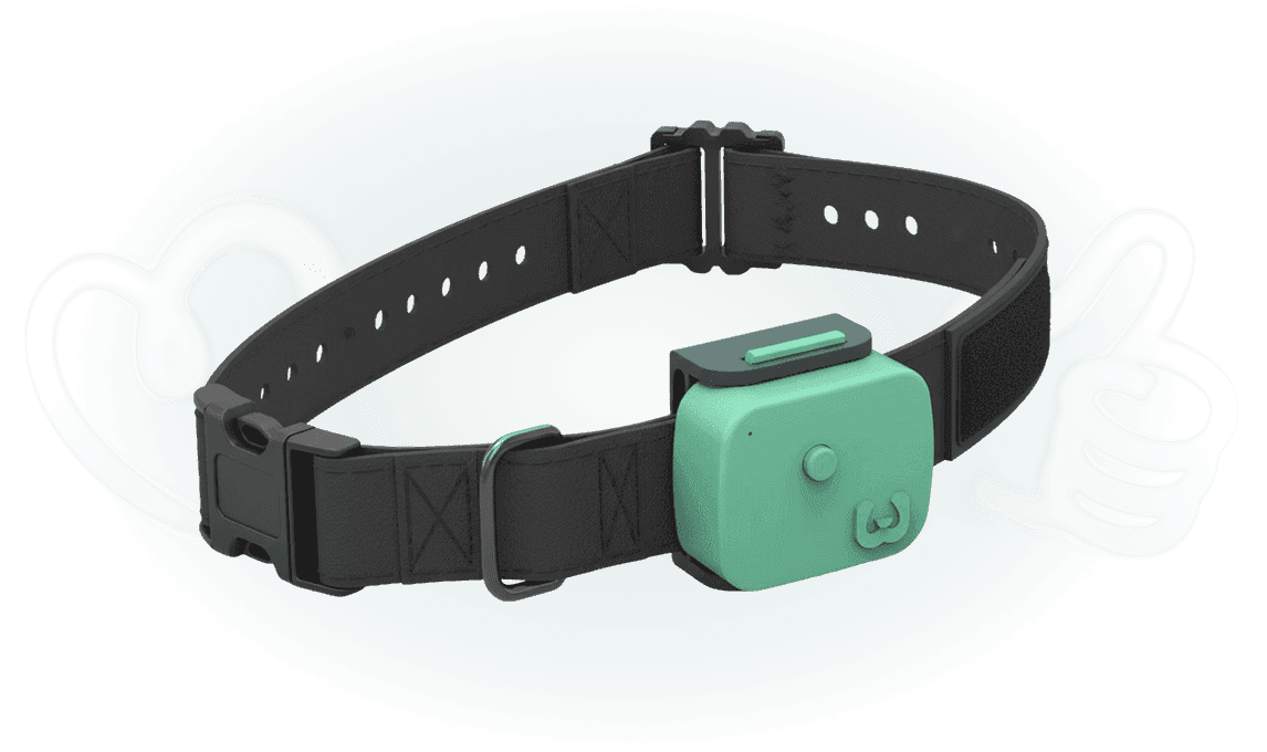 WellPet smart collar product
