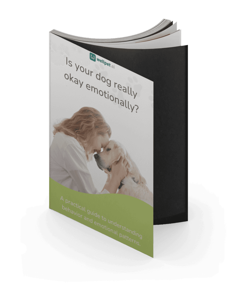 WellPet guide: Is your dog really okay emotionally?